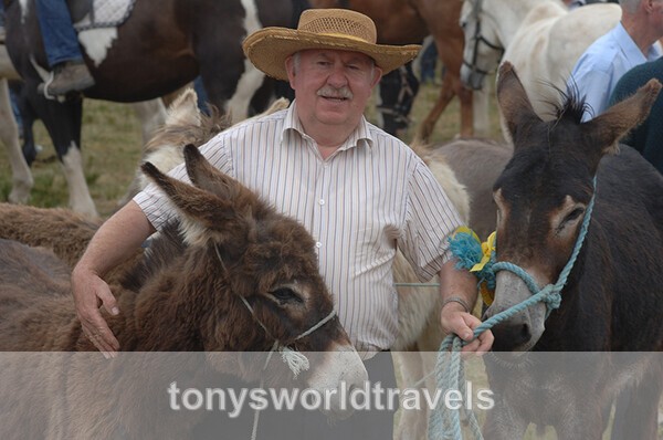 18, Man with Donkeys, Spancil Hill Horse fair,Co.Clare - Horse Fairs, Ireland