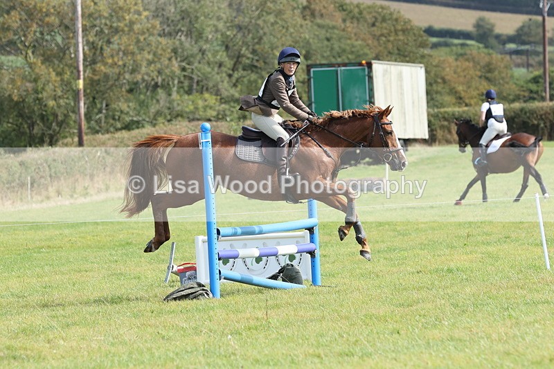 JPP_8790 - Class 2: Trekenning: 80cm Showjumping