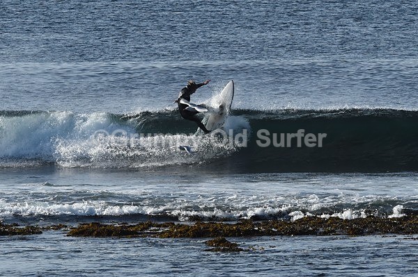 DSC_4076 - Thurso 14th September 2021