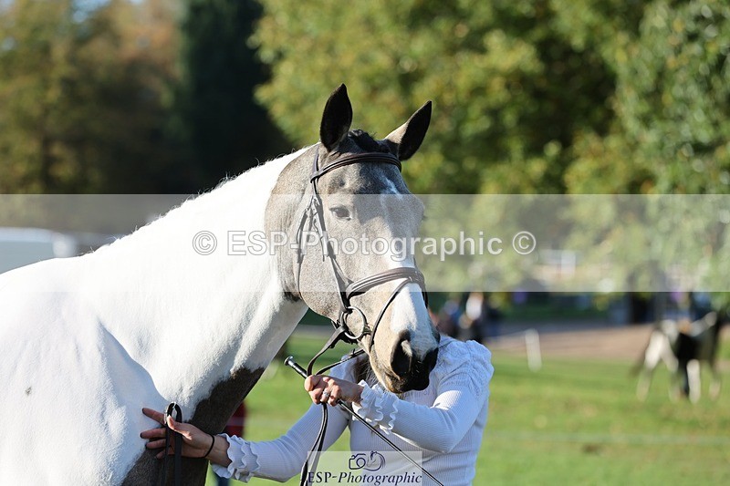 241027-090939-15074 - 366-Chloe.Robinson-BRACKENSPA'S.KEEP.A.SECRET