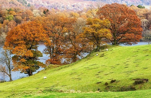  - Lake District, UK