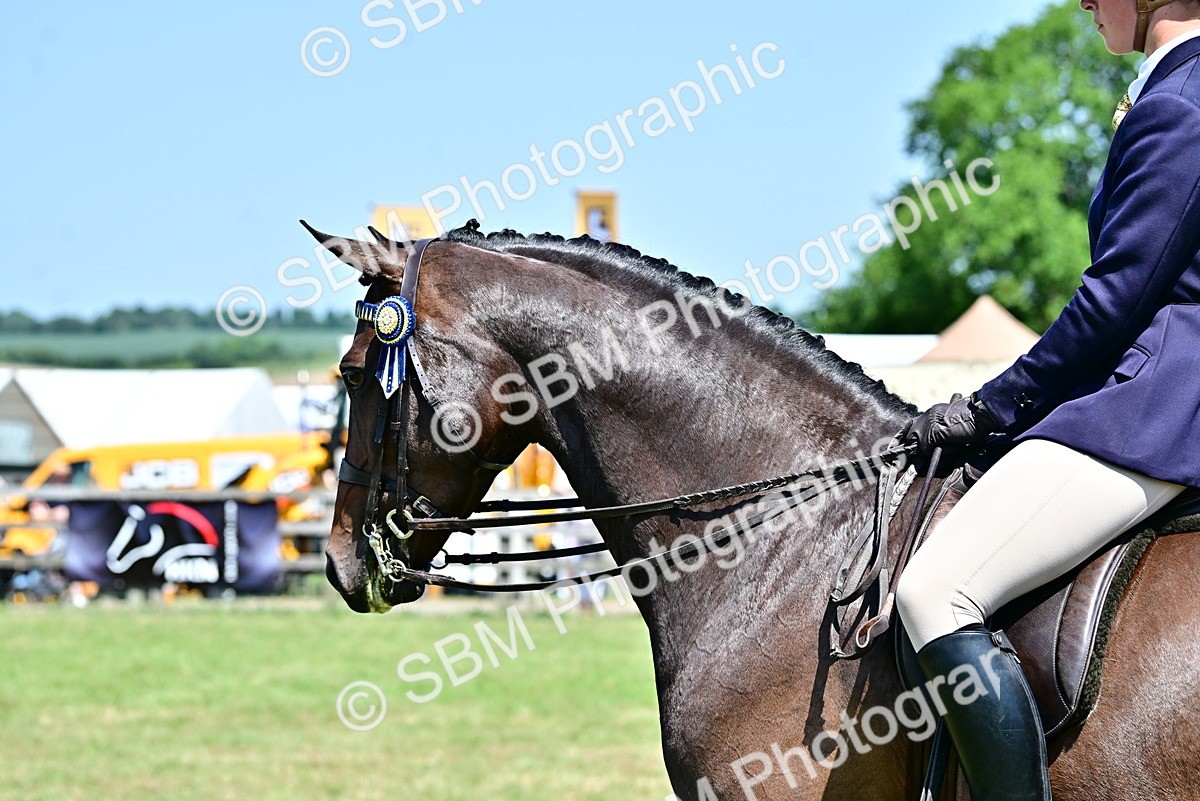 SBM_17501 - Class 95-97 - BSPS LHS Performance Ponies