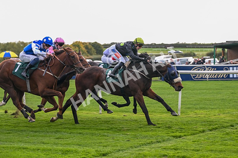 171026-Race 4-Woodstock-5737 - Race 4 2.45pm William Hill Best Odds Guaranteed Veterans' Handicap