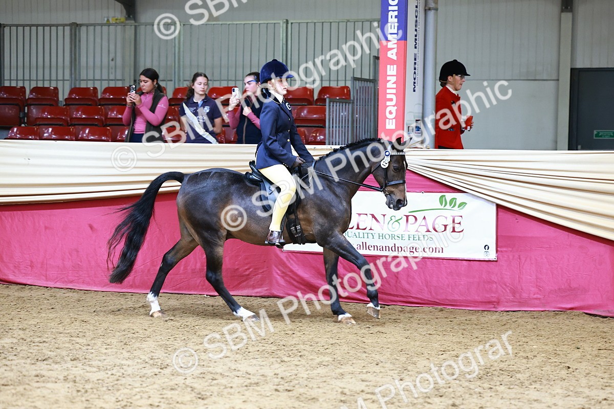 SBM_23728 - Class 905 - Supreme Final - Ridden Veteran
