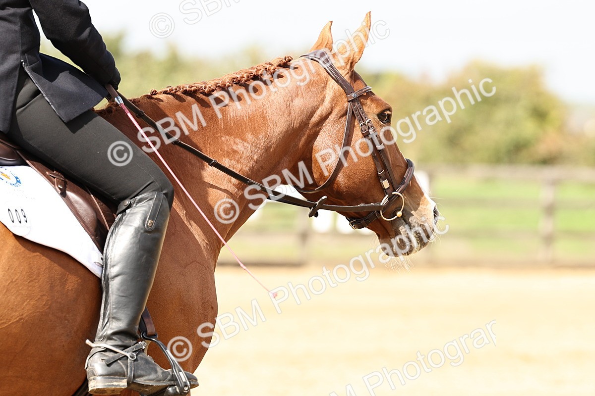 SBM_001158 - Class 46 - Novice 1 Combined Training