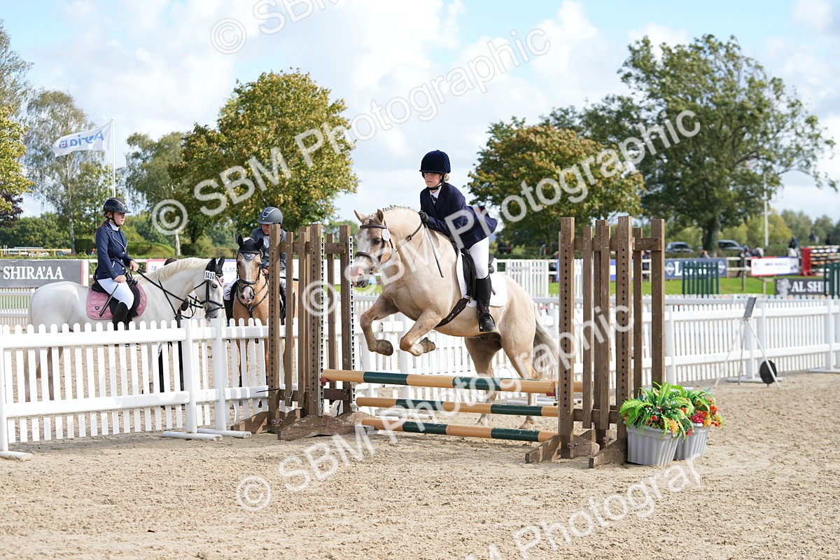 SBM_48487 - J7 - Junior Pony 60cm Championship