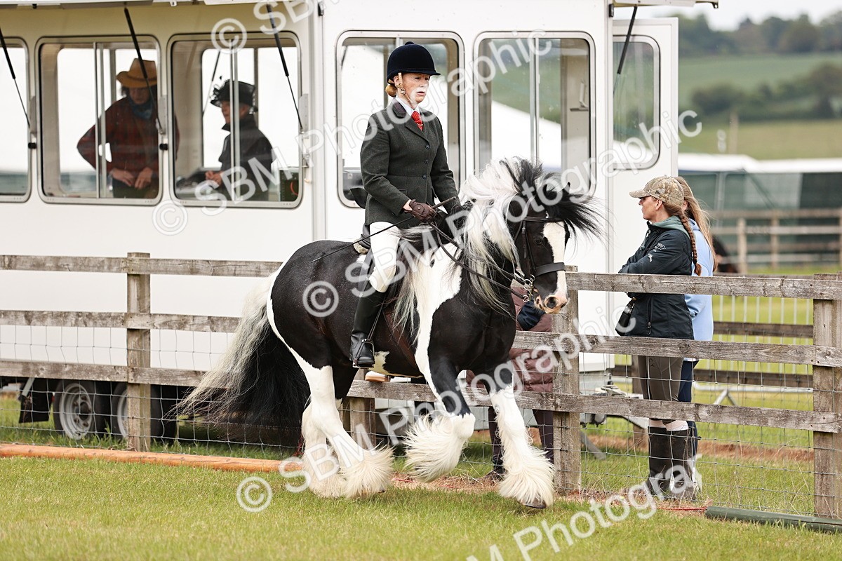 SBM_06128 - Class 39-41 TGCA In Hand and Ridden