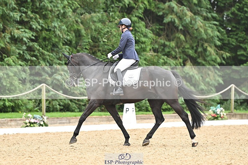 240811-115804-05312 - 118-Katie.Kneen-Springtime.Evergreen