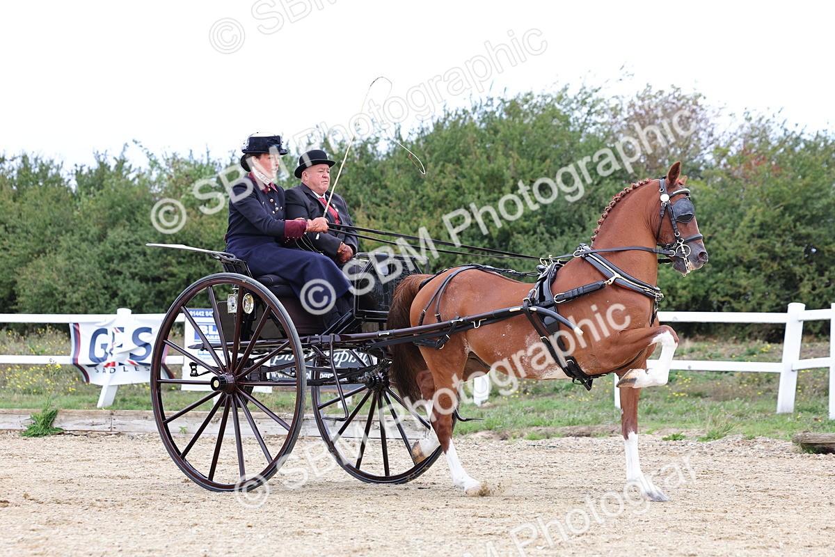 SBM_000392 - Class 4 - Junior Whip