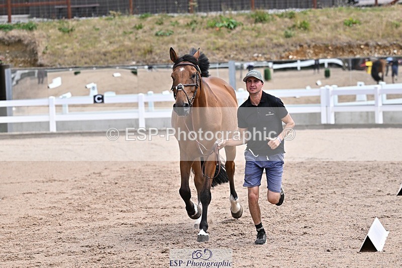 250716-130242-00282 - Trot Up 12.30 to 1.30