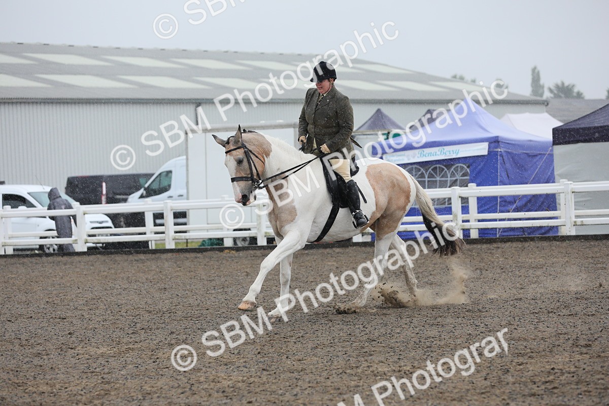 SBM_20357 - Class 803 - Ridden Combination 65+