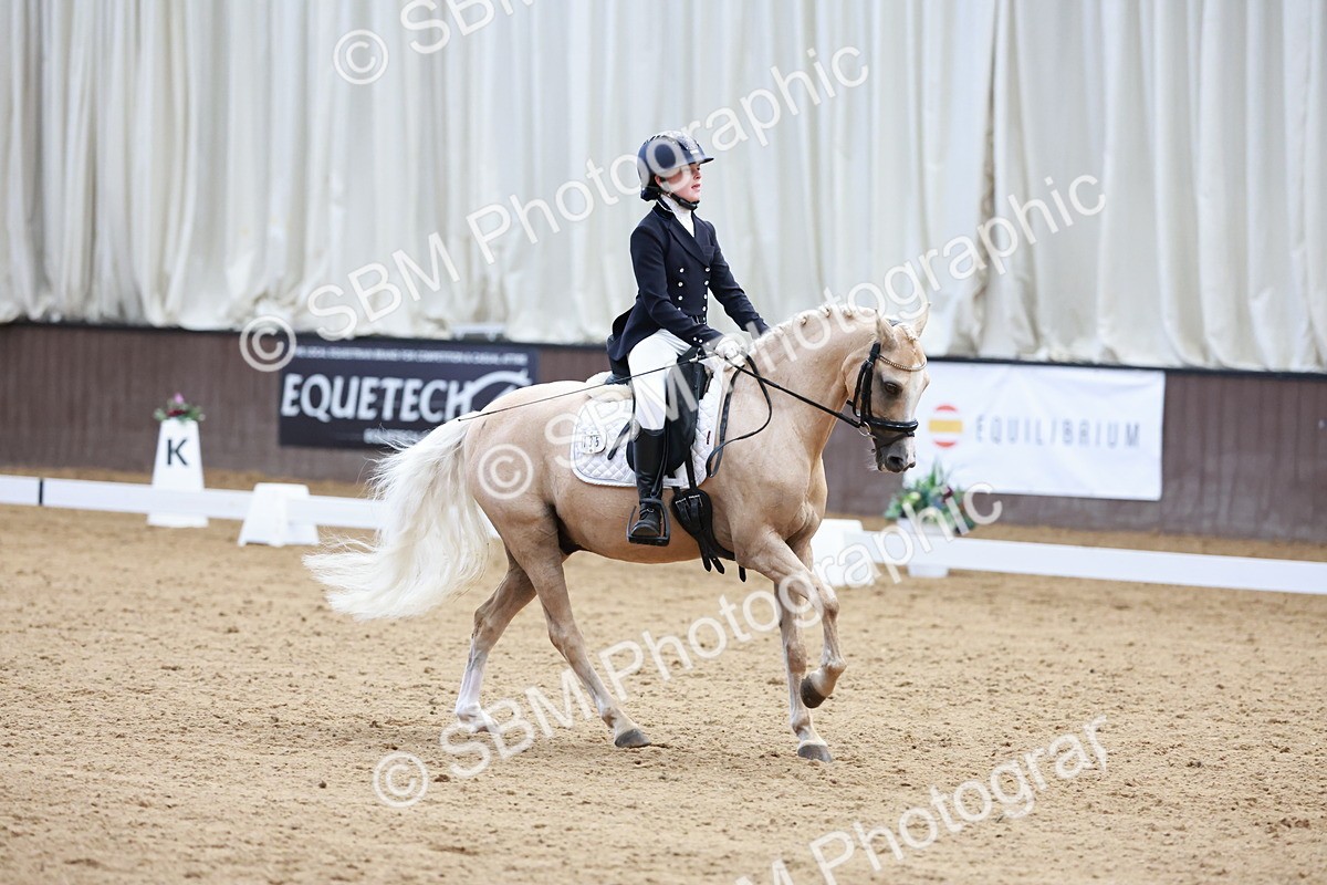 SBM_017401 - Class15 - FEI Pony