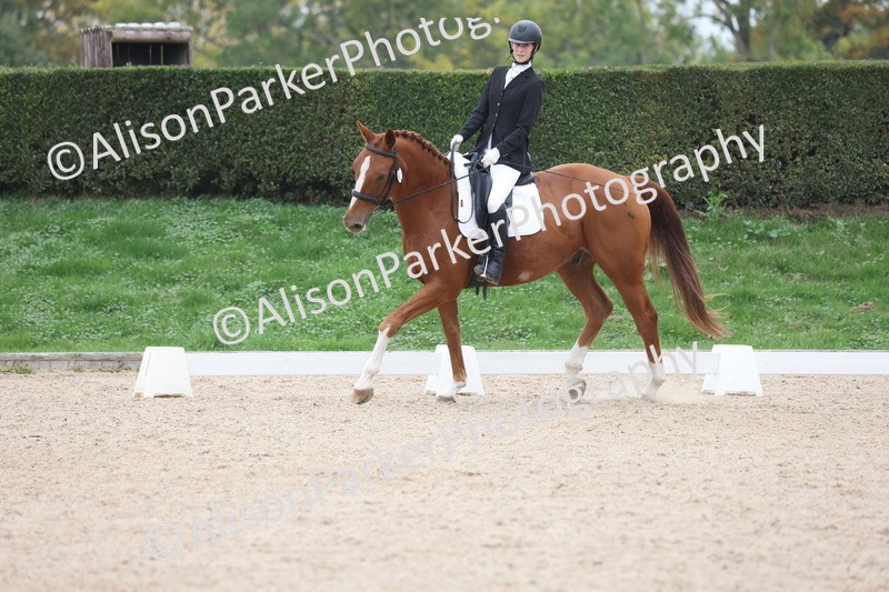 20251011-0558 - Class 6 - Elementary 1