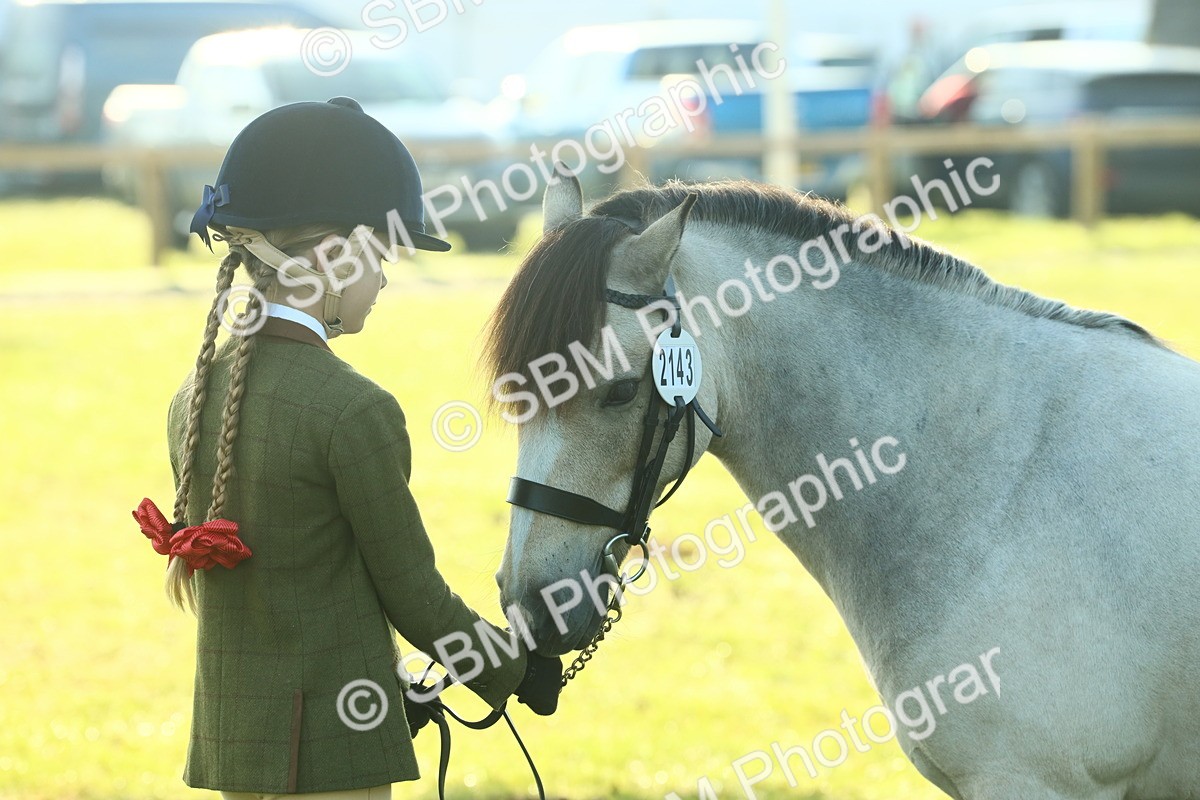 SBM_57476 - S37 - Starters In Hand Showing
