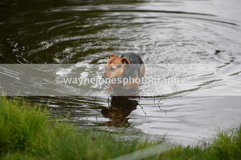 WJ5_5181 - Time 12:04 to 13:05