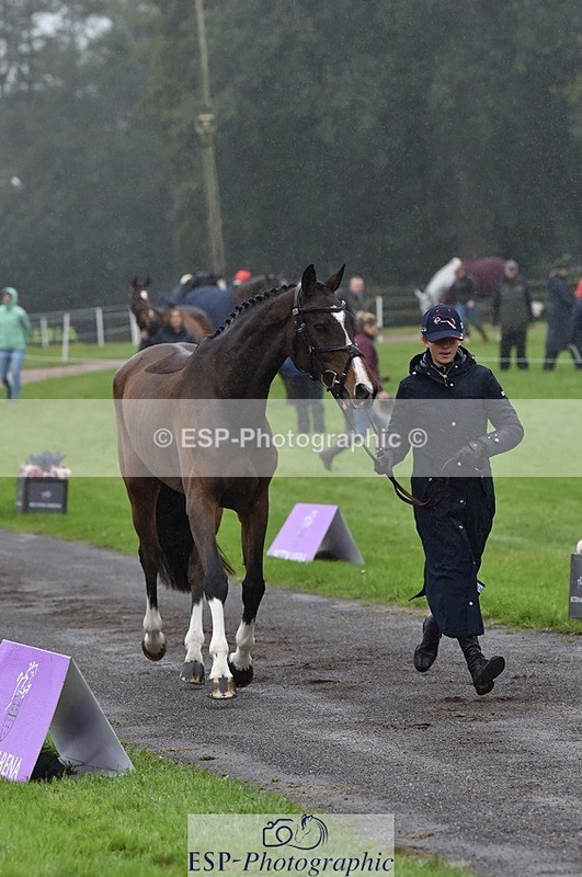 231018-120412-00055 - 007-JEWEL-Charlotte.Cooke-TrotUp