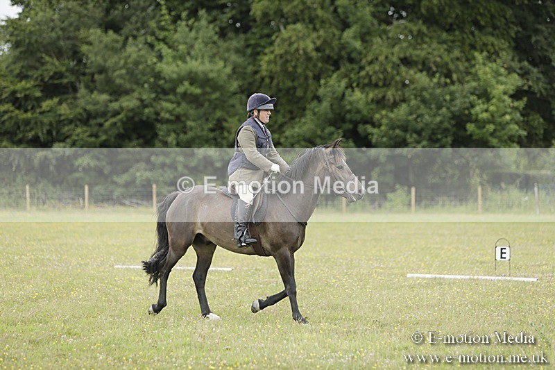 BVR160717-694 - Class 1 & 23a Dressage 16/07/17