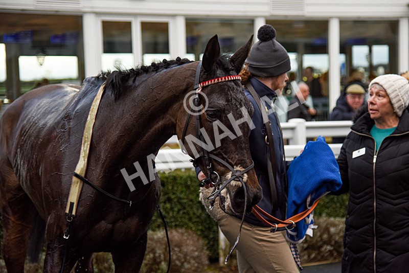 020224-Race 6-Champ Royal-6385 - Race 6