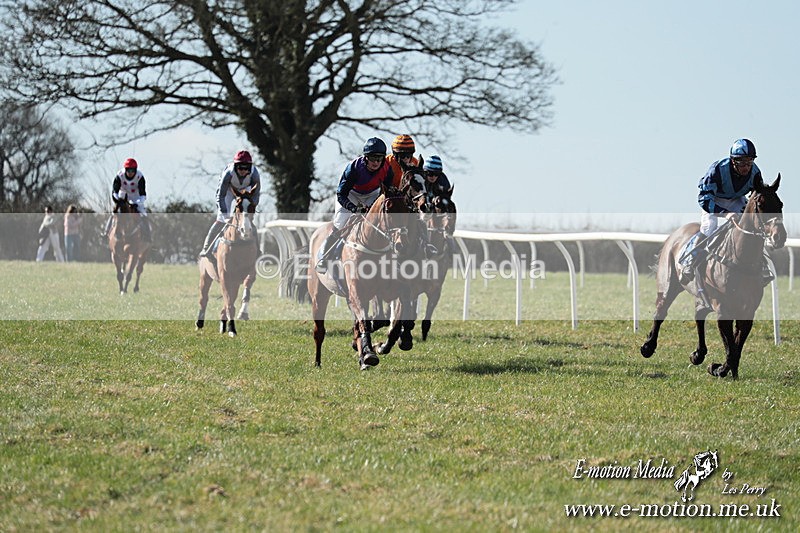 PtP 010325 63 - Beaufort Races Didmarton 01/03/25