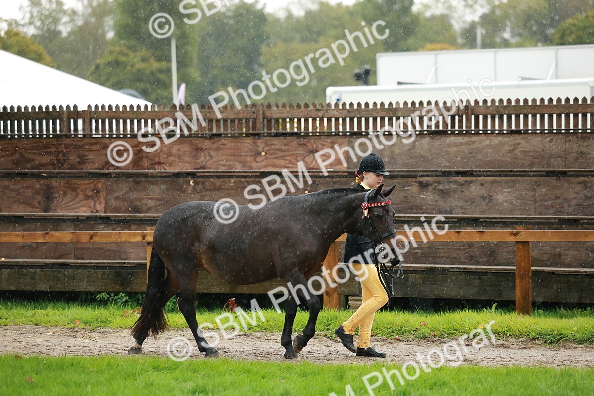 SBM_34921 - S10 - Best In Hand Horse & Pony