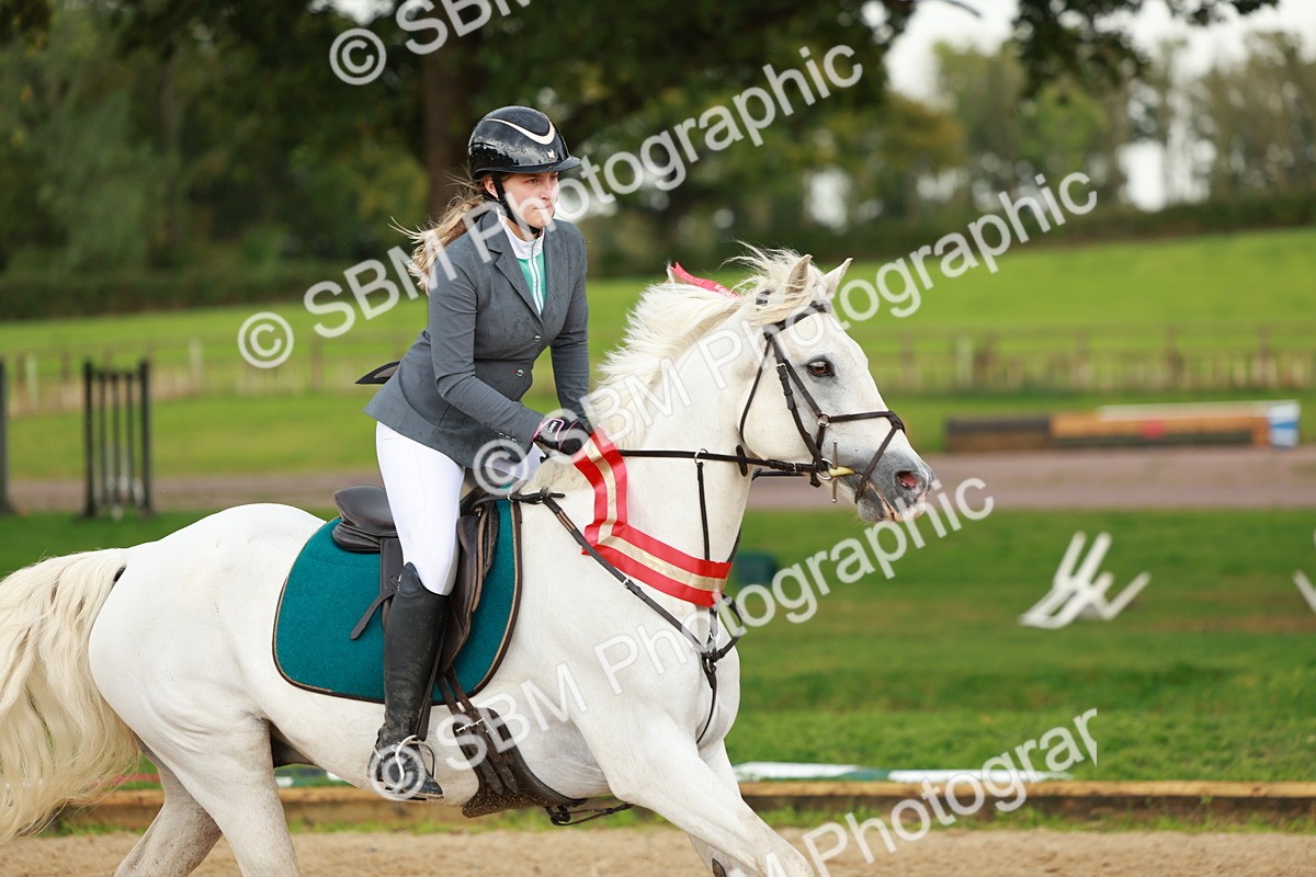 SBM_38519 - Supreme Championship 80cm 85cm