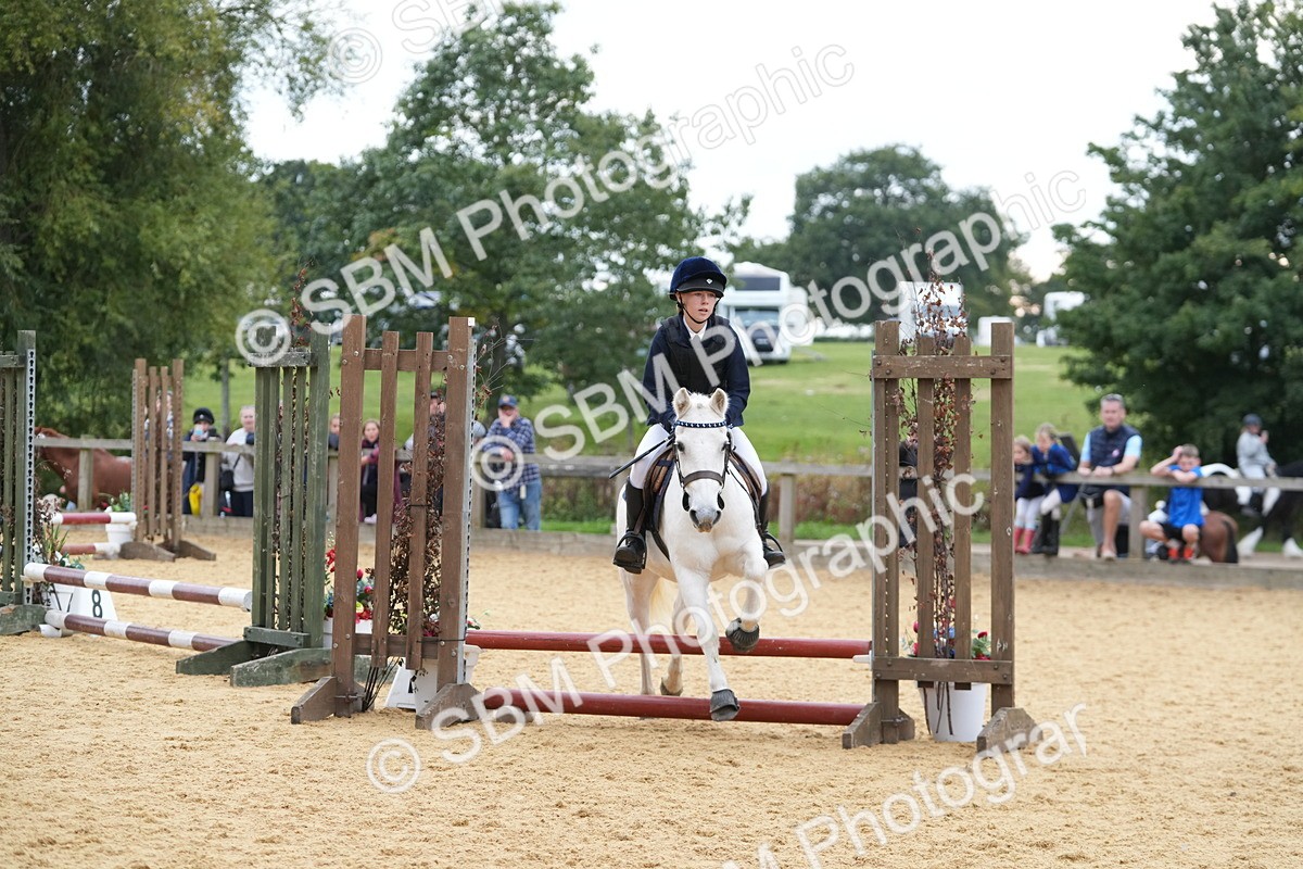 SBM_74850 - J4 - Mini Tour Junior Pony 45cm Championship