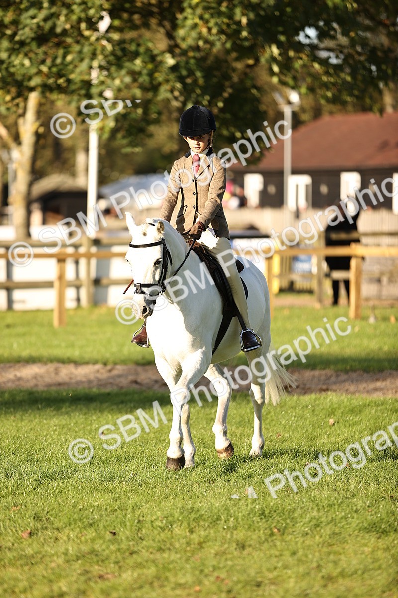 SBM_29623 - S7 - Novice & Newcomers Ridden Pony