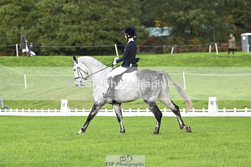 251023A-104717-02605 - G-509-Millie.Bloomfield