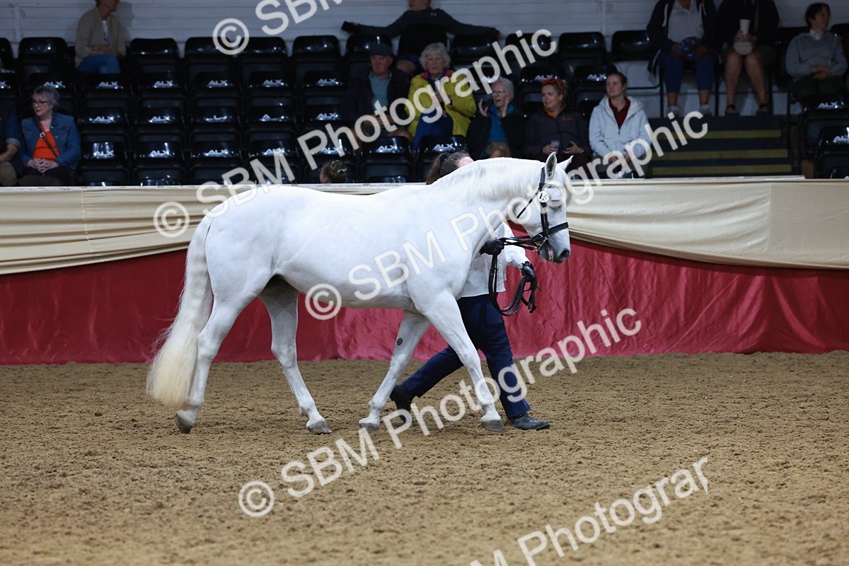 SBM_20111 - Class C - Novalty Champ