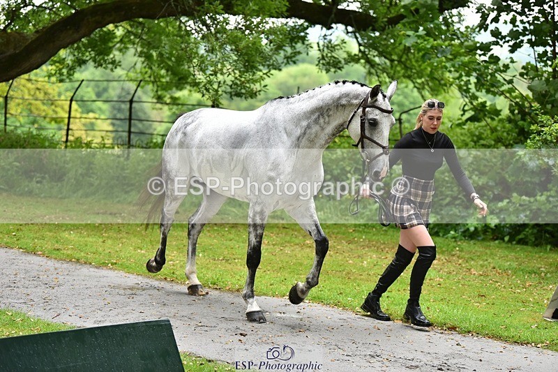 240522-152330-00303 - 327-COR_Y_TARAN-Toots_Bartlett