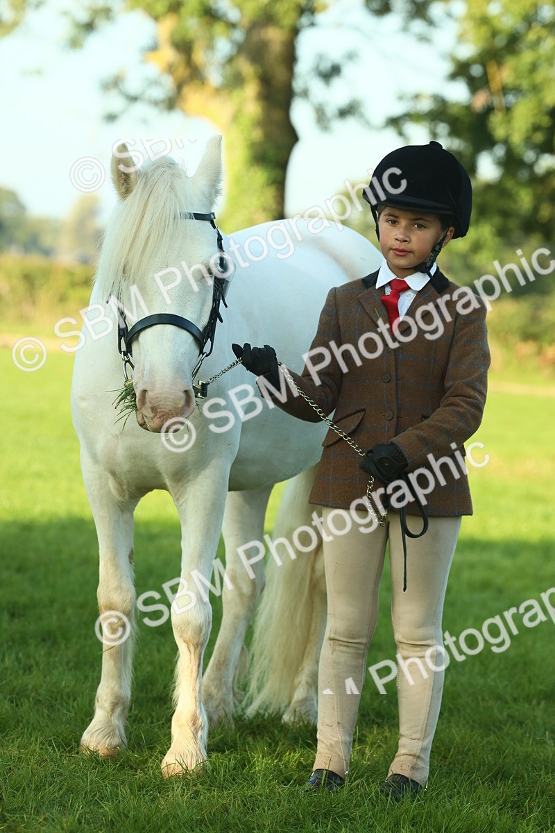 SBM_57503 - S37 - Starters In Hand Showing