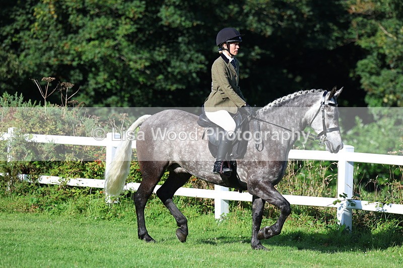 3E7A7560 - Class 1: Novice Working Hunter Pony