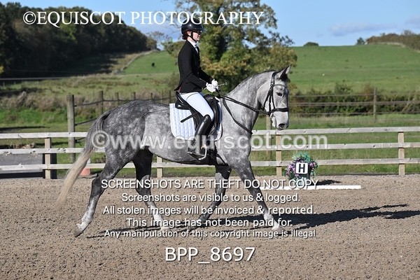 BPP_8697 - SHORT ARENA