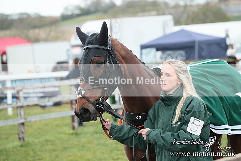 PtP 130425 332 - Edgecote Races 13/04/25
