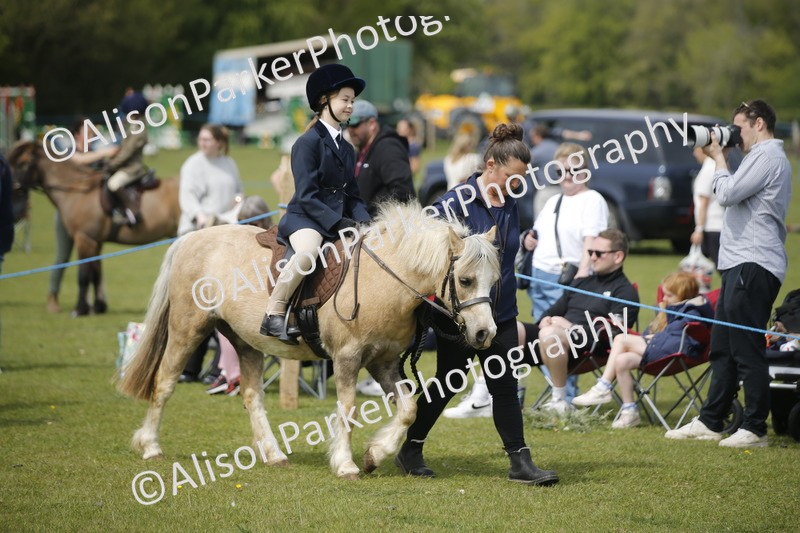 20260426-1934 - Class 8 - Prettiest Mare