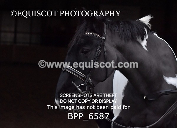 BPP_6587 - Morna Russell