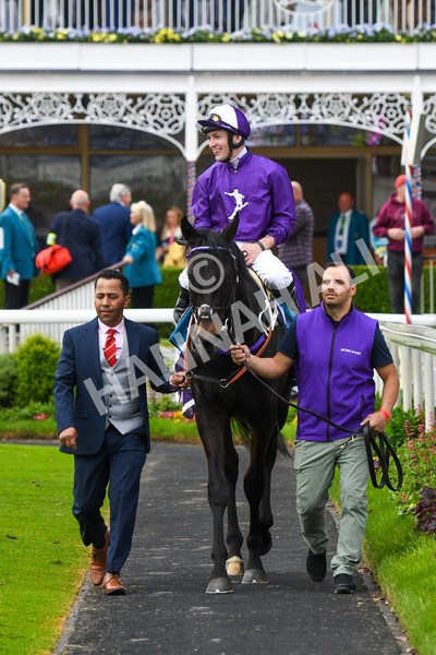 180523-Race 6-Cuban Thunder-0765 - Race 6 4.45pm Frank Whittle Partnership ebfstallions.com Maiden Stakes