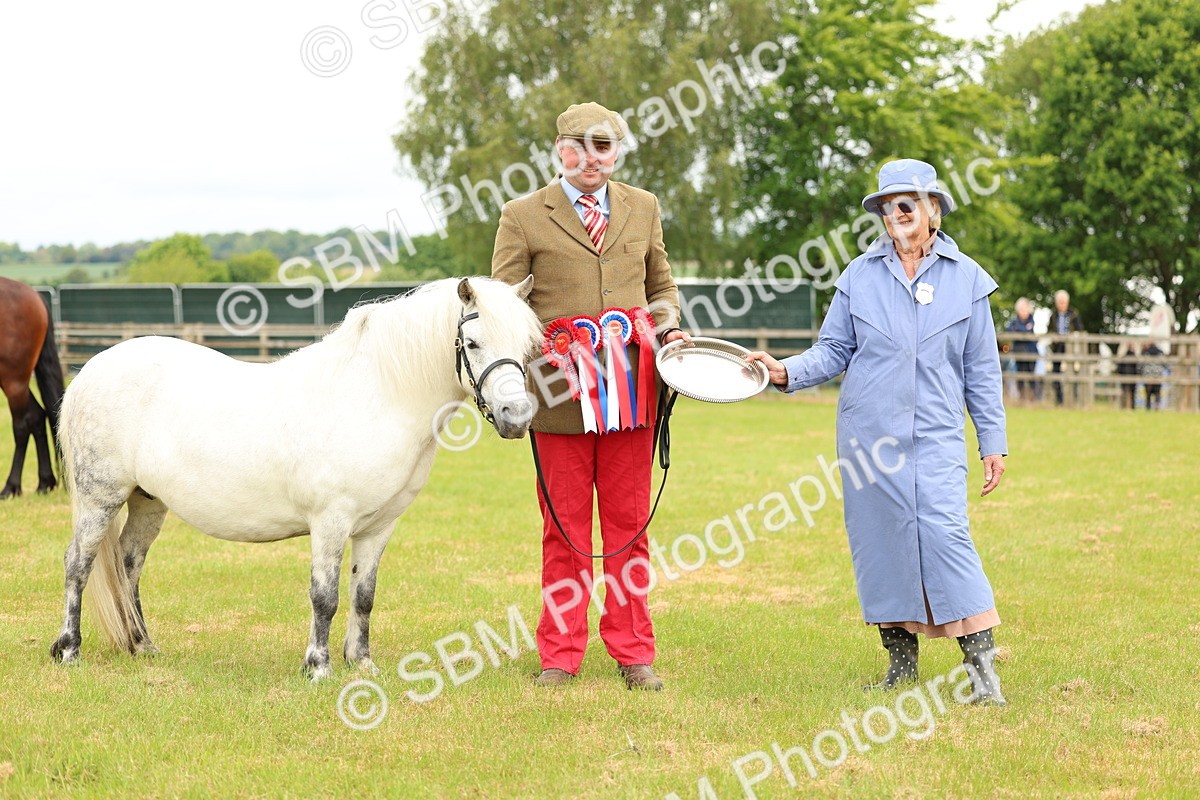 SBM_03587 - Class 58-67 - M&M Non Welsh Pony In hand