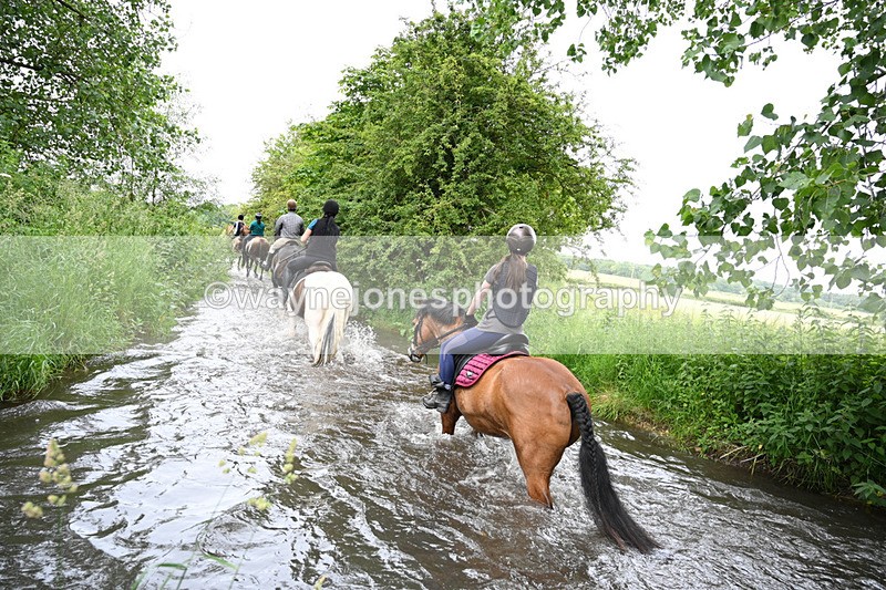 WJ7_1913 - Camera 2 Water Crossing