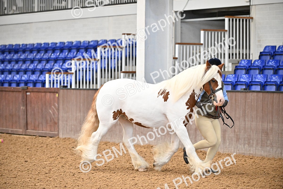 SBM_000056 - Class 1 - In Hand Cob
