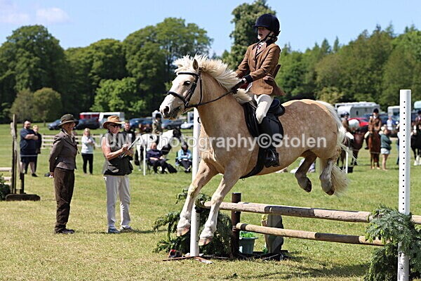 IMG_3671 - Working Hunter