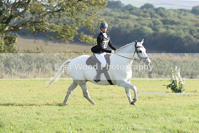 JPP_7867 - Class 2A: Trekenning Open: Dressage