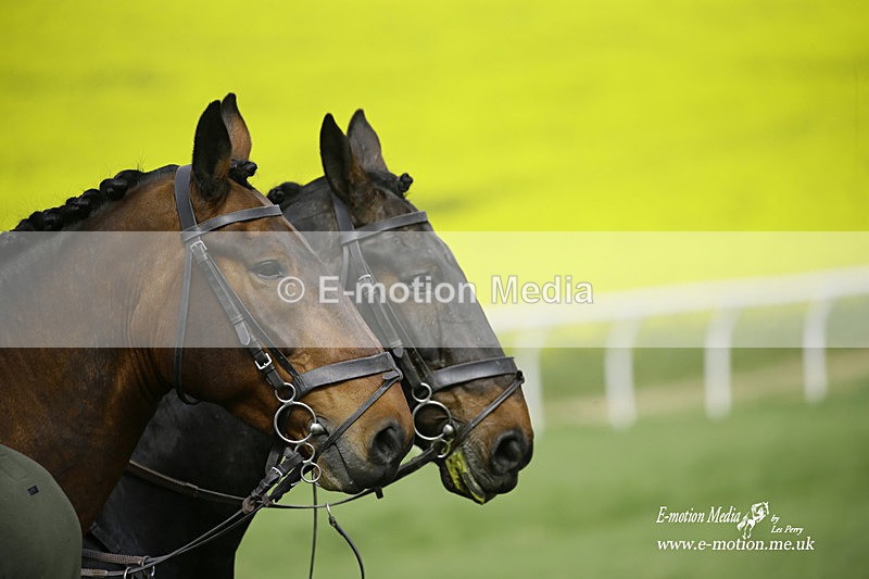 PtP 180422 146 - Old Berkshire PtP Lockinge 18/04/22