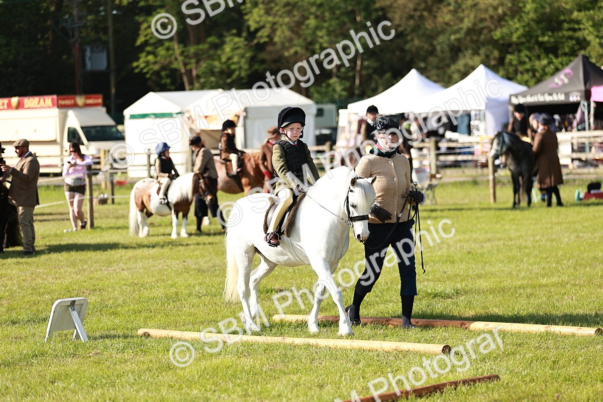 SBM_11232 - Class 106-107 - BSPS LIHS Working Sports Pony