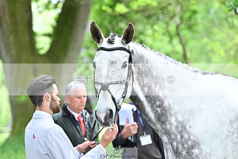 250521A-152453-00494 - B-311-Barnie.Brotherton-WHIXLEY.QUALITAS