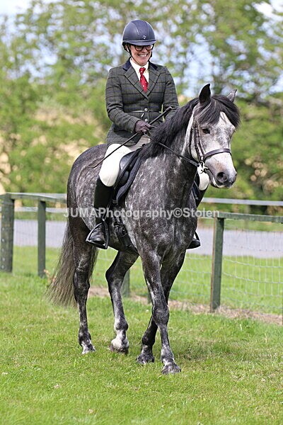 SIAL7355 - Ring 1 & 3