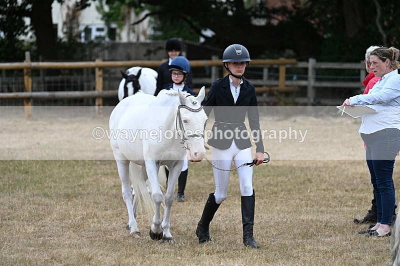 WJ7_8066 - Class 4 Prettiest Mare up to 14.2hh