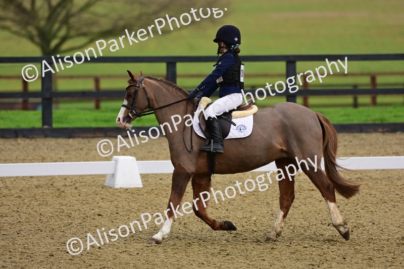 20260125-0653 - Class 9b - Walk Trot Unassisted