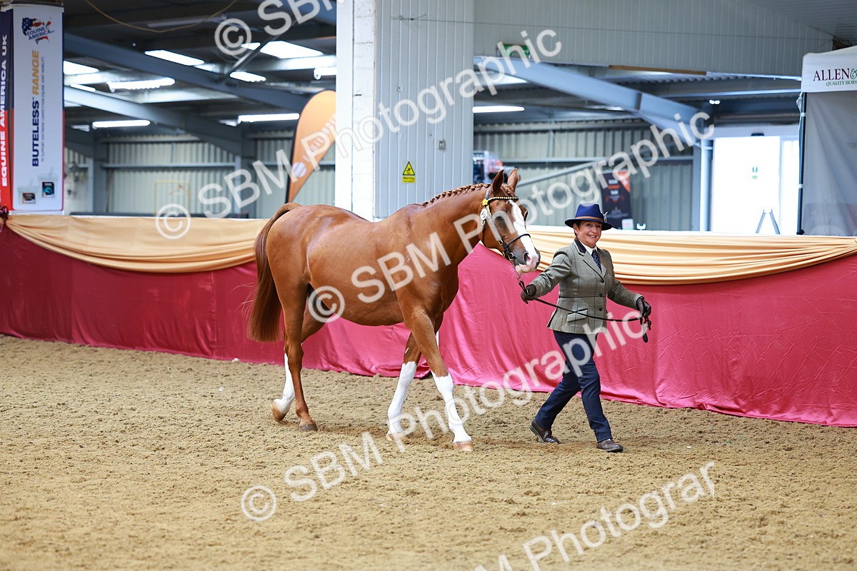 SBM_00520 - Class 3A - IH Pre-Vet