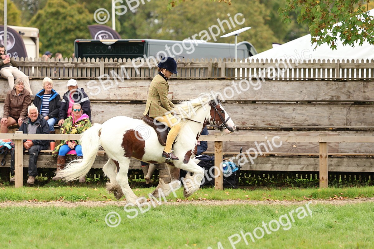 SBM_64594 - S58 - Coloured Pony Ridden